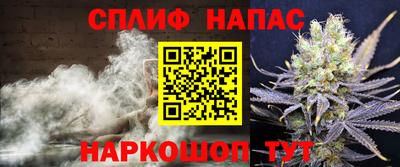 бошки Тверь