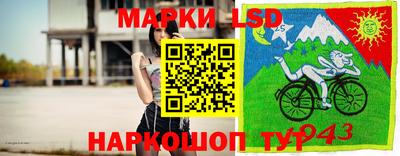 стаф Тара